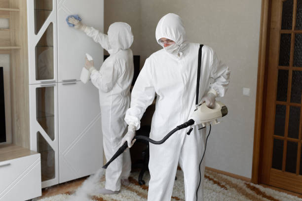 24/7 Emergency Odor Removal experts in Wharton, NJ