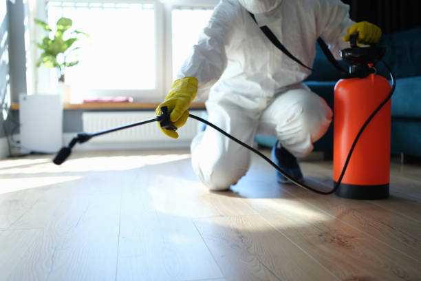 Reliable Odor Removal contractor in Wharton, NJ by Trauma Clean Pros